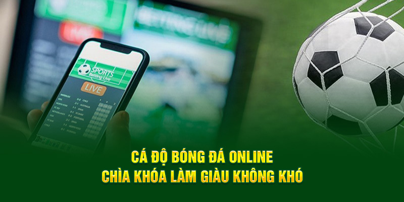 Cá độ bóng đá online