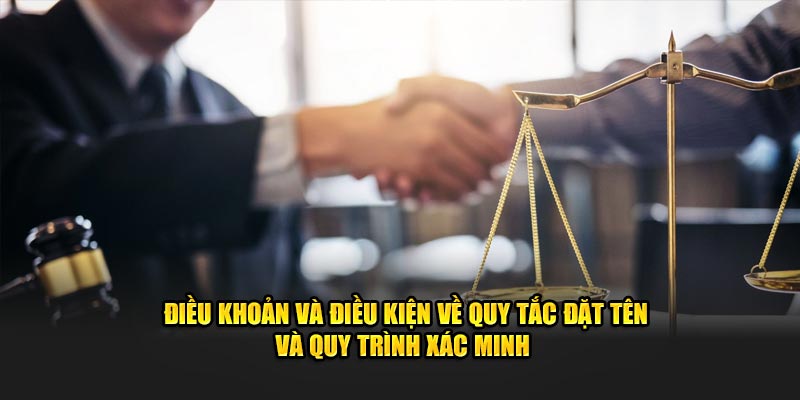 Điều khoản và điều kiện về yêu cầu đặt tên, quy trình xác minh